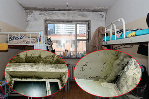 Оюутнууд сурах эрхийнхээ төлөө эрүүл мэндээ золиосолж байна